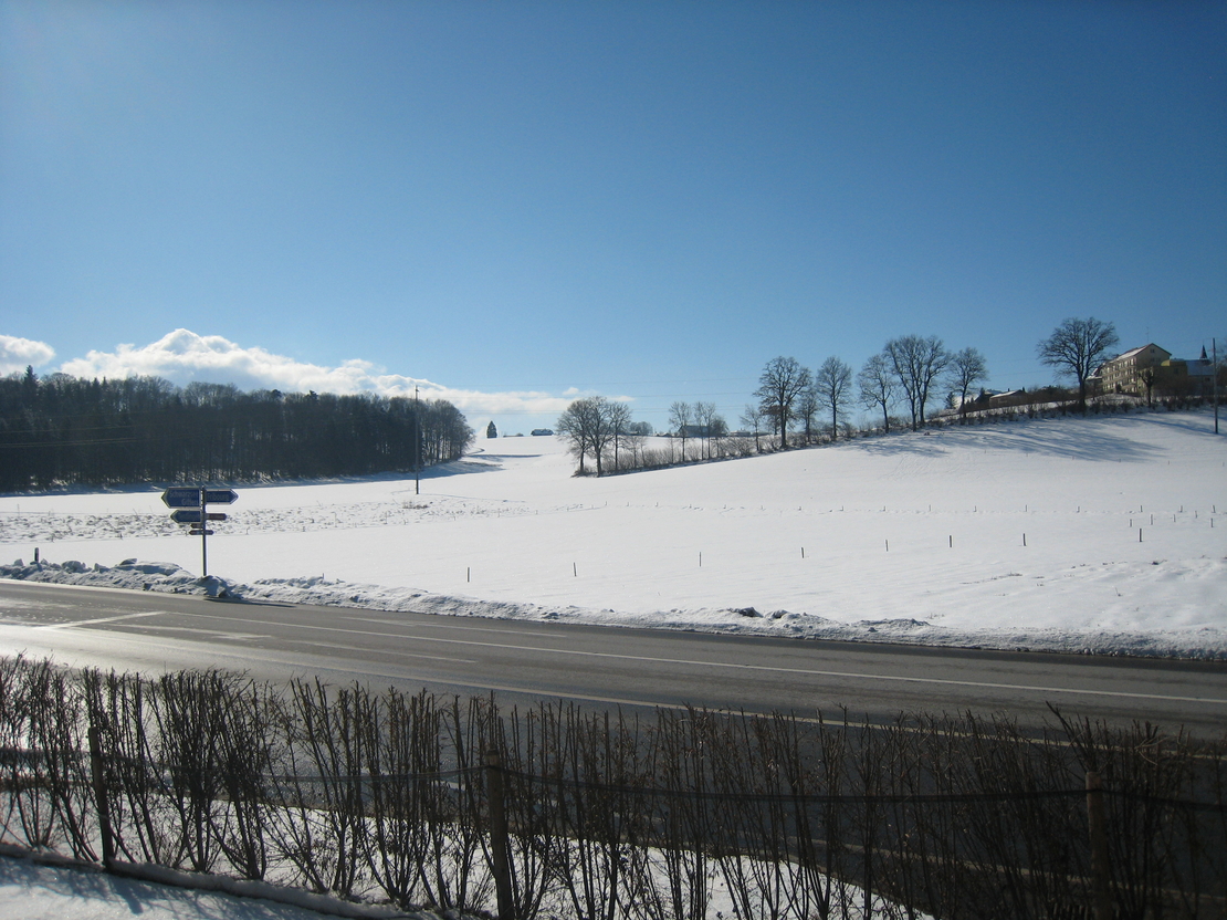 Image - IMG_2508_02.jpg