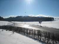 Image - IMG_2509_01.jpg