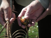 Image - 6_21.jpg
