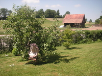 Image - PICT0743_04.JPG