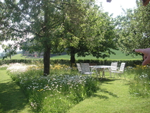 Image - PICT0730_05.JPG